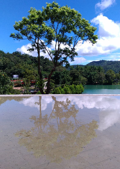 「地端」是伴隨數十年了的倚靠